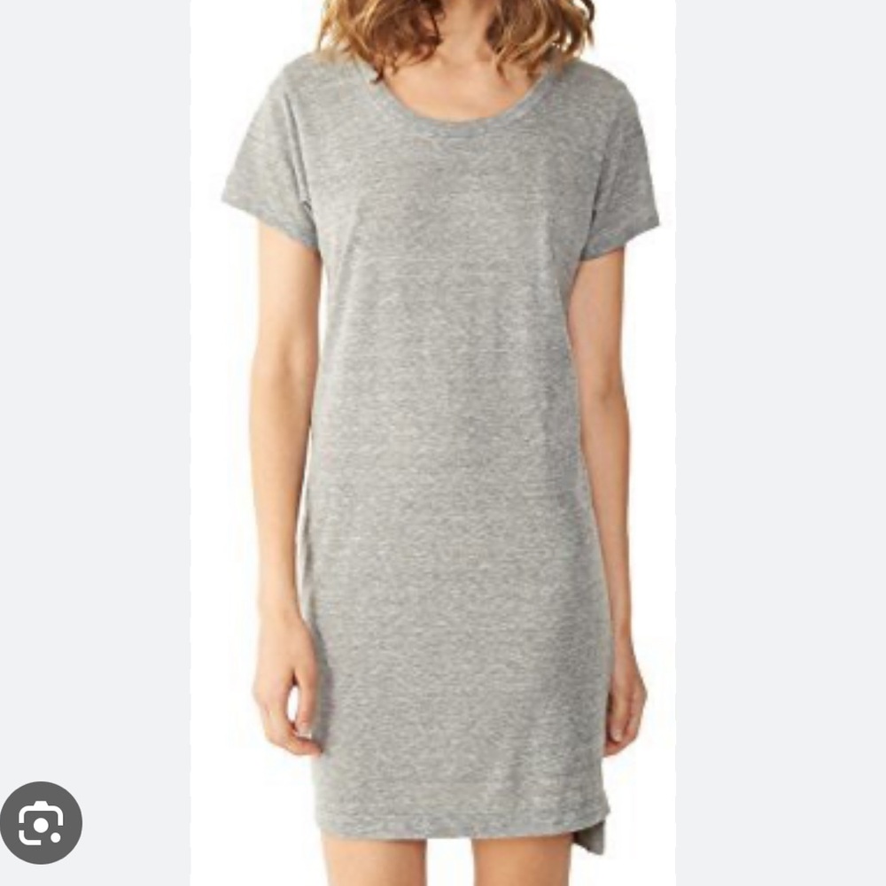 Alternative Apparel T shirt Dress
